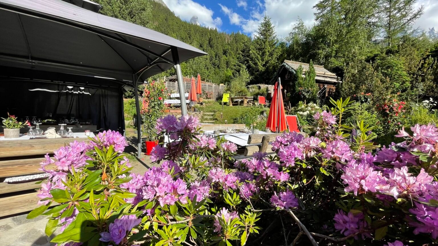 A close-up view of vibrant alpine flowers in full bloom within the Alpine Garden Restaurant, subtly hinting at the refined dining experience amidst the natural beauty and delicate fragrances.